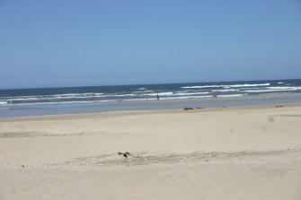 07-14-2017 - Driftwood Inn (6)