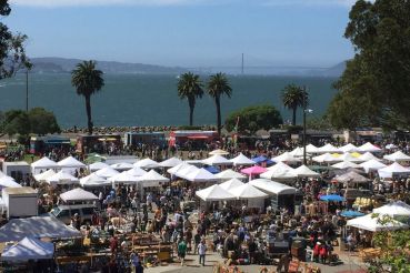 Treasure-Island-Flea_c-580194b55f9b5805c2782a8d