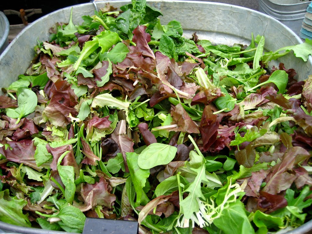 Salade Mesclun – A Provencal Mixed Greens&nbsp;Salad