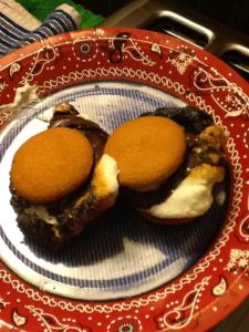 nilla-vanilla-surprise