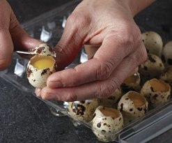 quail eggs opened