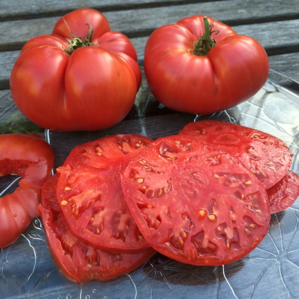 Beefsteak-Tomato-Seeds