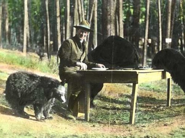 Crazy People with Bears (5)