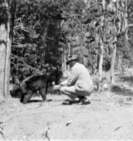 Crazy People with Bears (7)