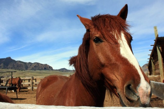 hm-cabins-wyoming-yellowstone-lodging3