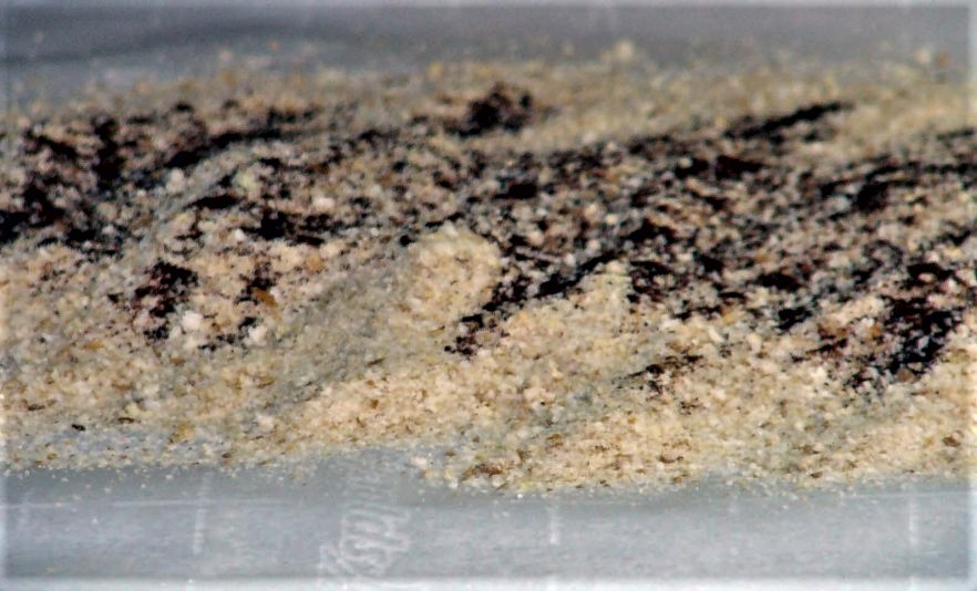 01 Seasoning coating