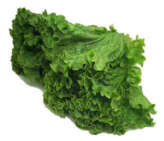 BLT - Lettuce