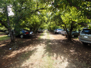 parking-orchard-1024x768
