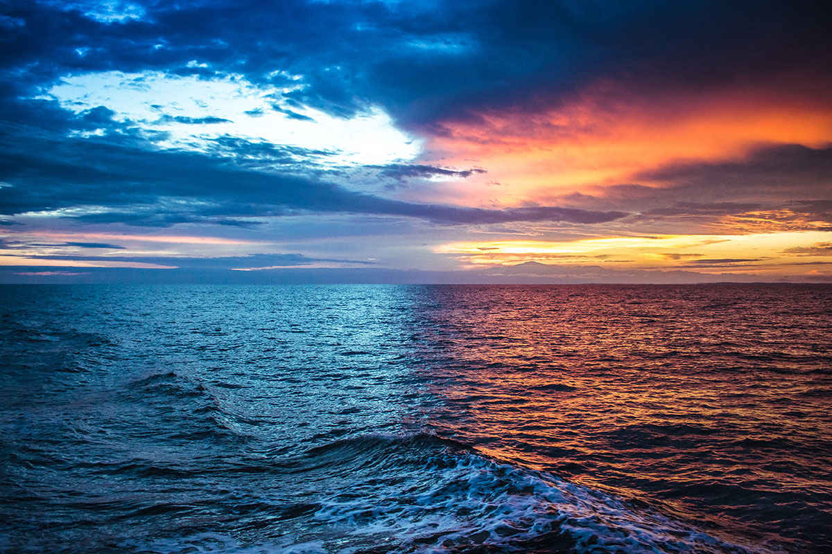 Early Morning Reflection