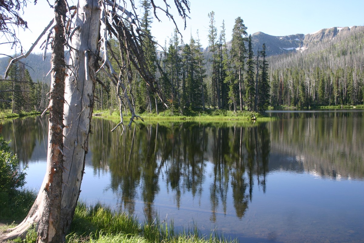 One Last Drive Through Yellowstone – Day&nbsp;7