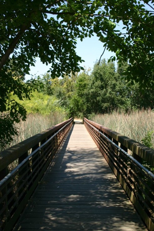 549635_476102025741069_177396741_n