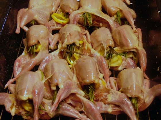 lemon-garlic-rosemary-quail-1