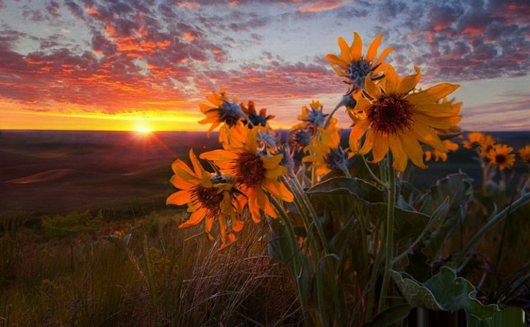 Give Thanks for Life is&nbsp;Good