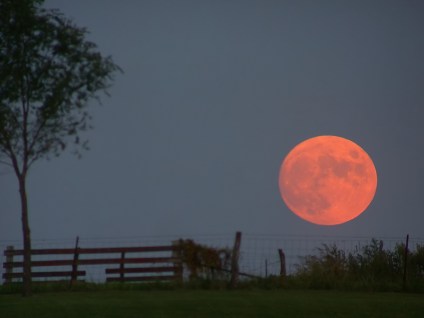 harvest_moon