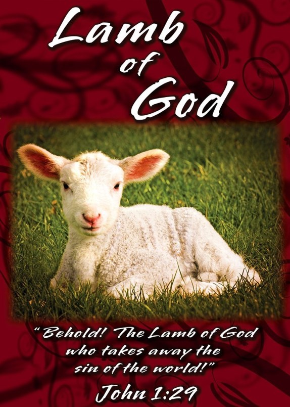 lamb-of-god-printed