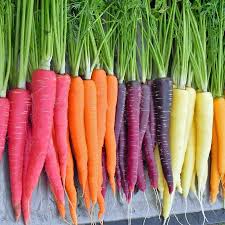 rainbow-carrots-1