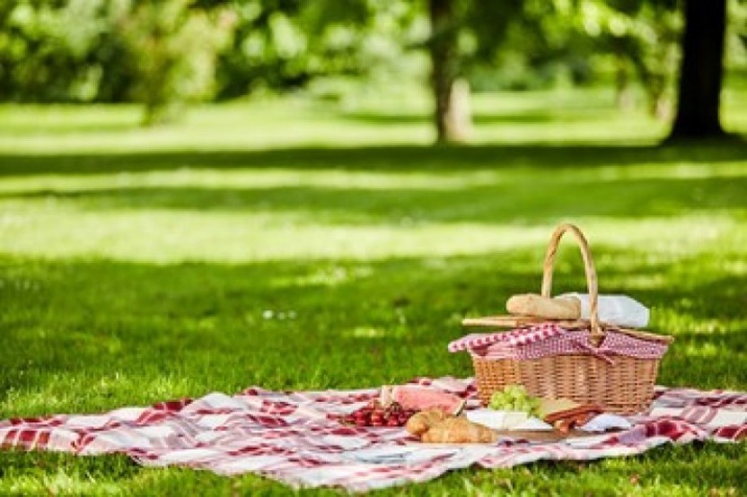 Pack a Picnic and Take a Walk in the&nbsp;Park