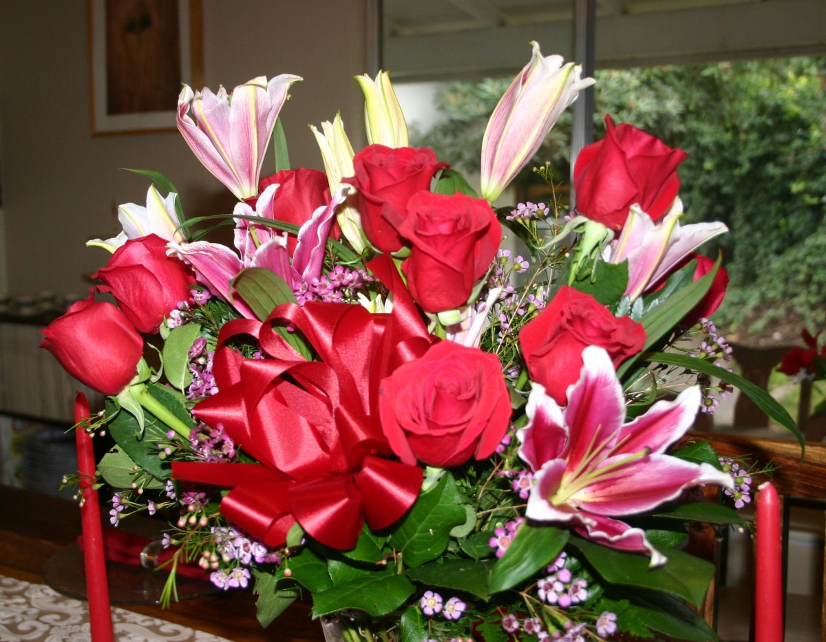 Happy Day After Valentine’s Day