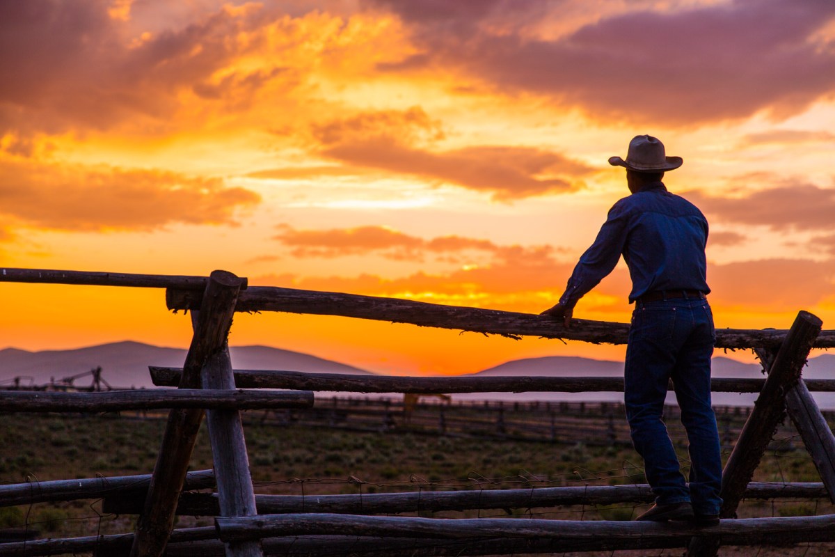 Honoring Big Sky Country with a Big Pan-Seared&nbsp;Steak