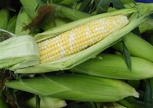 sloughhouse corn