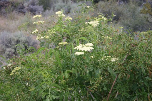 9 - Lava Beds &amp; Caves (19)