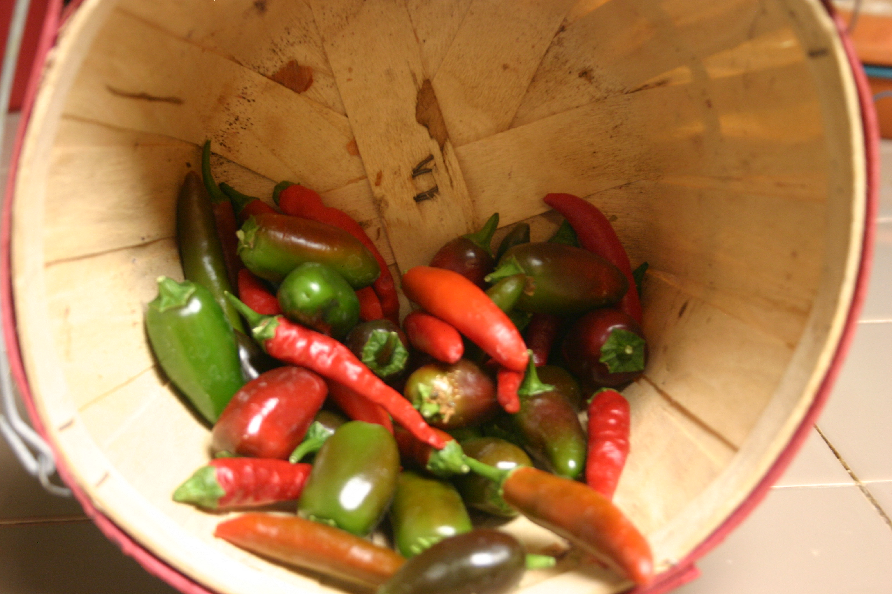 Ro-Tel Spicy Burritos (1)