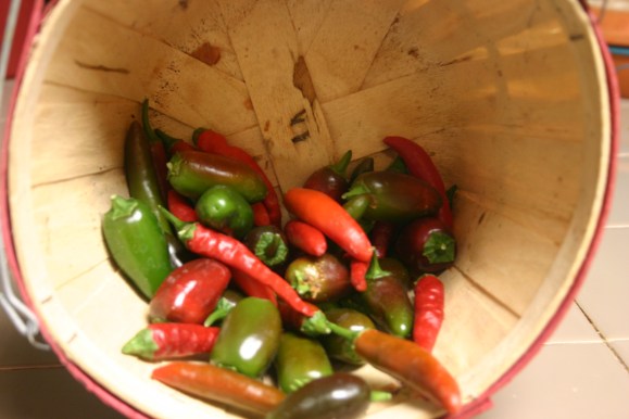 Ro-Tel Spicy Burritos (1)