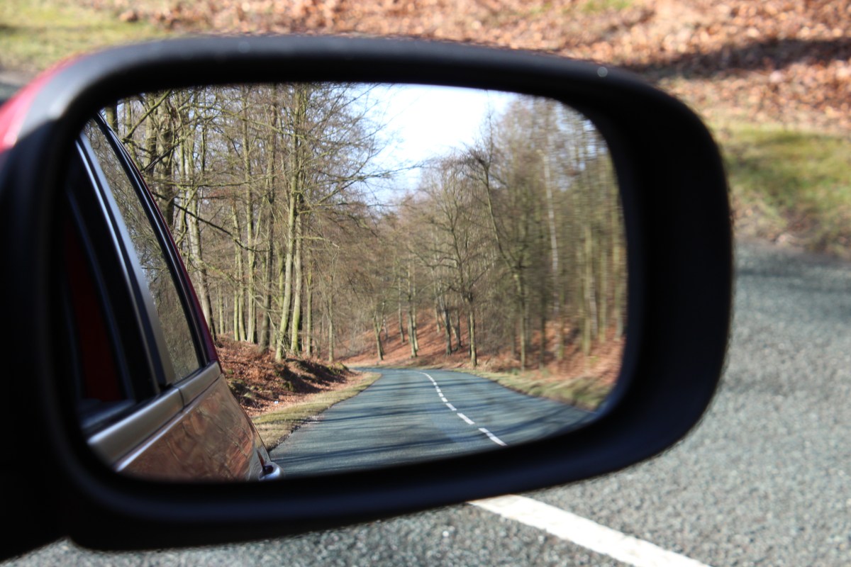 2019 in the Rear View&nbsp;Mirror