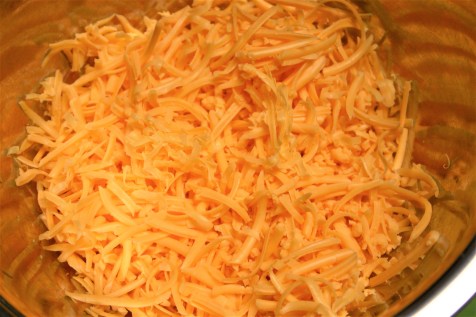 Broccoli-Carrot Cheese Soup (3)