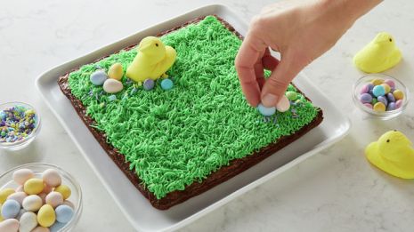 Spring Chick Brownies4