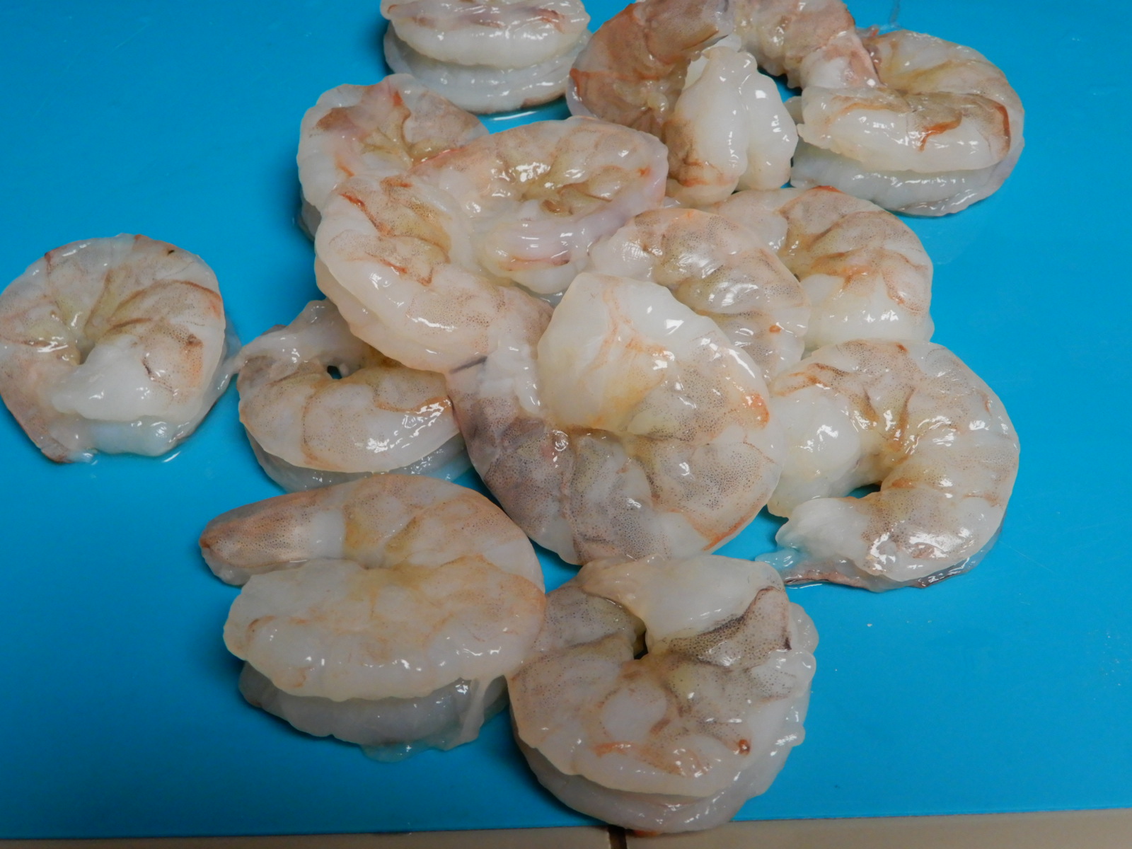 Louisiana Shrimp (3)