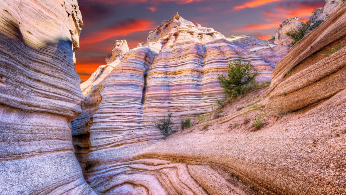 Welcome to the Land of&nbsp;Enchantment