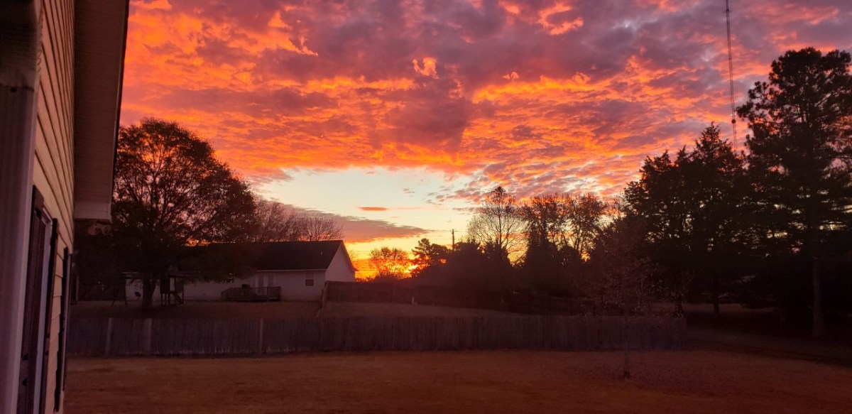 Alabama In the&nbsp;Morning