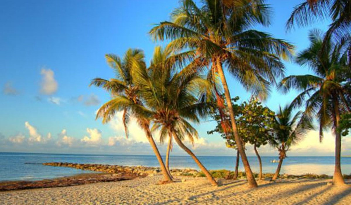 Celebrating the Flavors of&nbsp;Florida