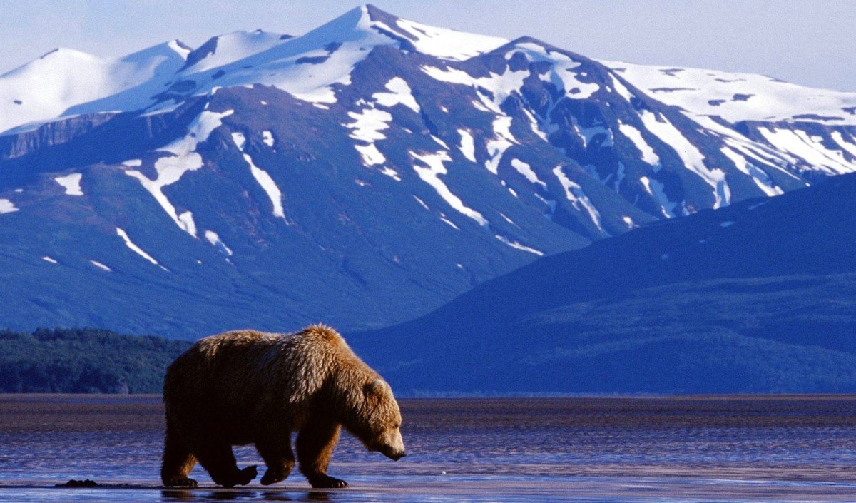 Alaska, The Last American&nbsp;Frontier