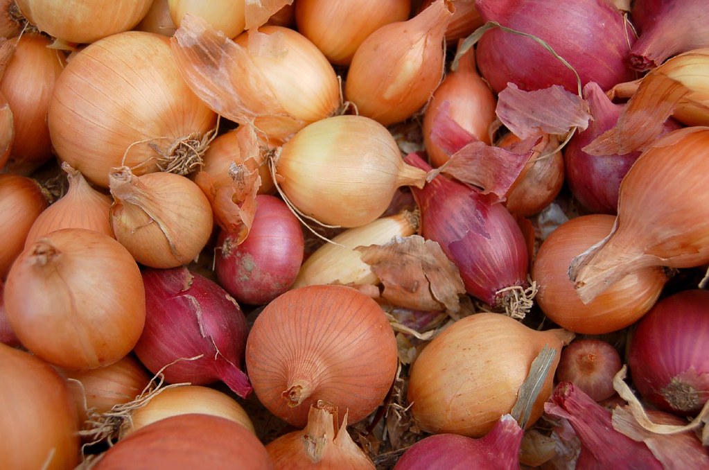 Yep, It’s National Onion&nbsp;Day
