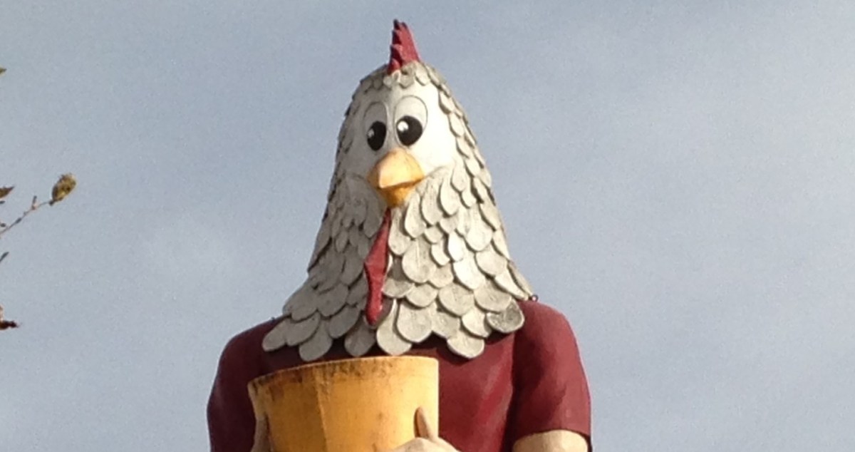 Chicken Boy and Spatchcock Game&nbsp;Hens