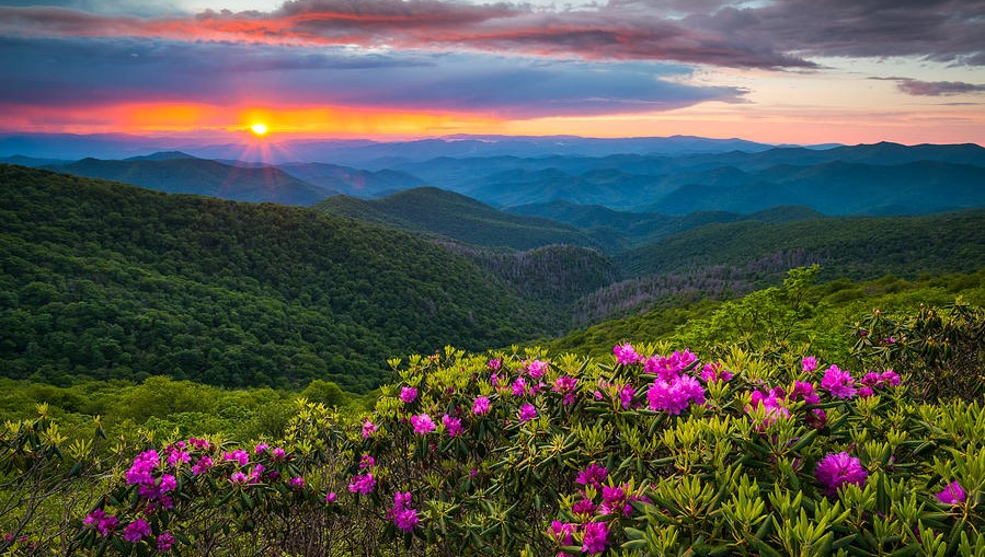 Sweet Carolina – North Carolina That&nbsp;Is