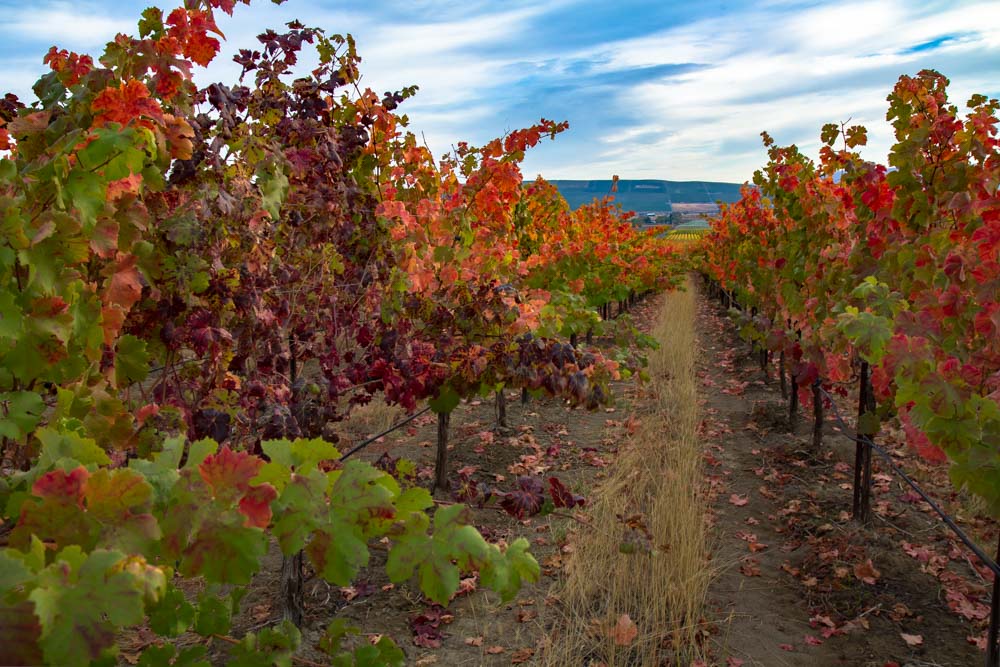 Ember Days Wednesday and the Autumn&nbsp;Equinox