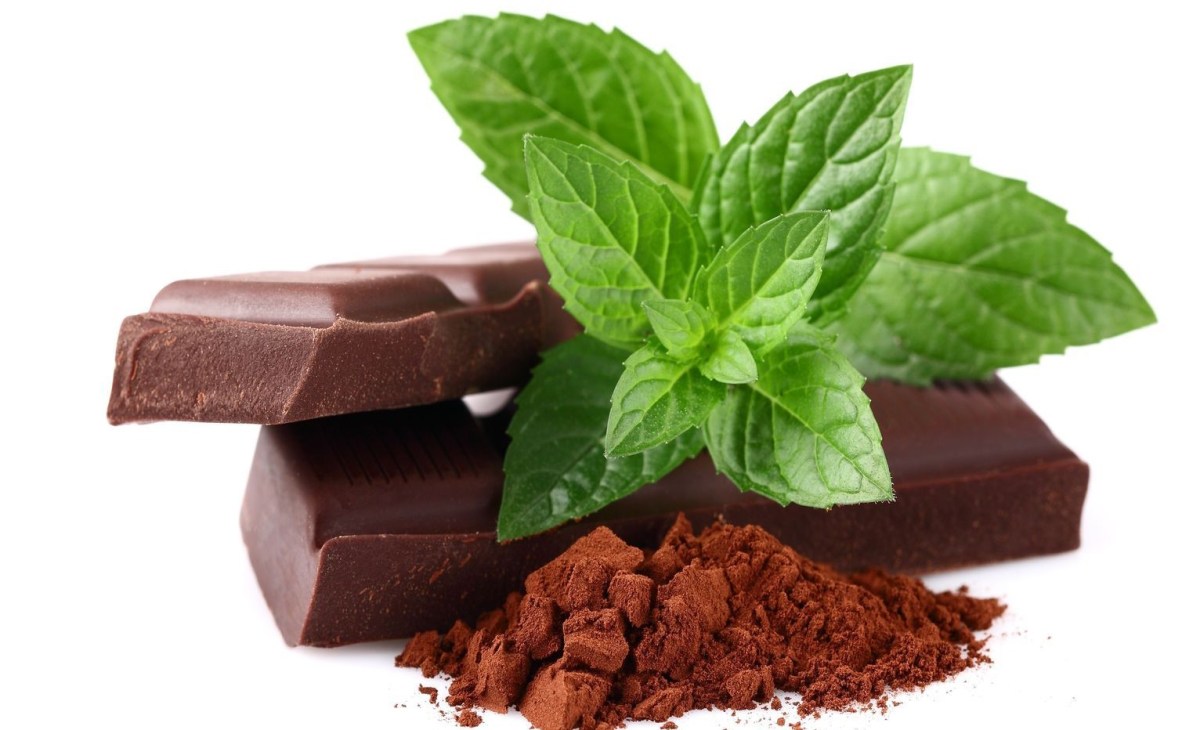 Celebrating the Magic of Chocolate Mint&nbsp;Day