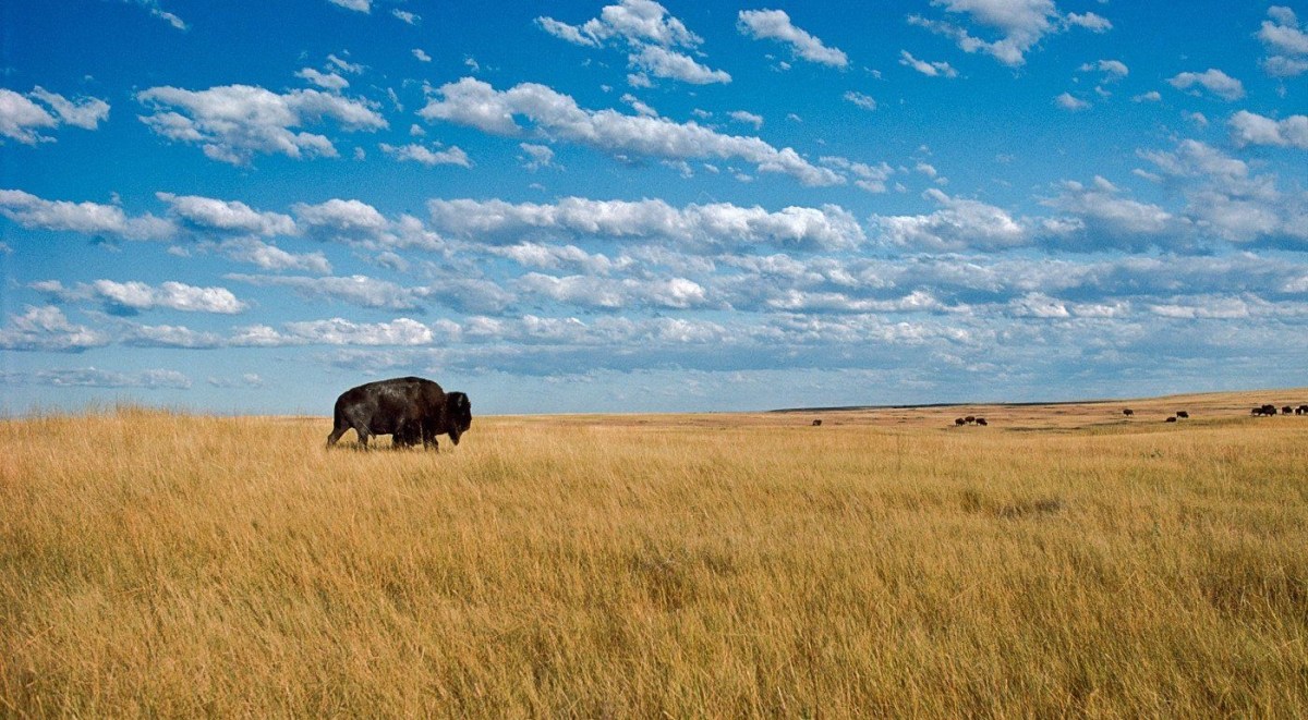 North Dakota and Amaretto Laced&nbsp;Brownies
