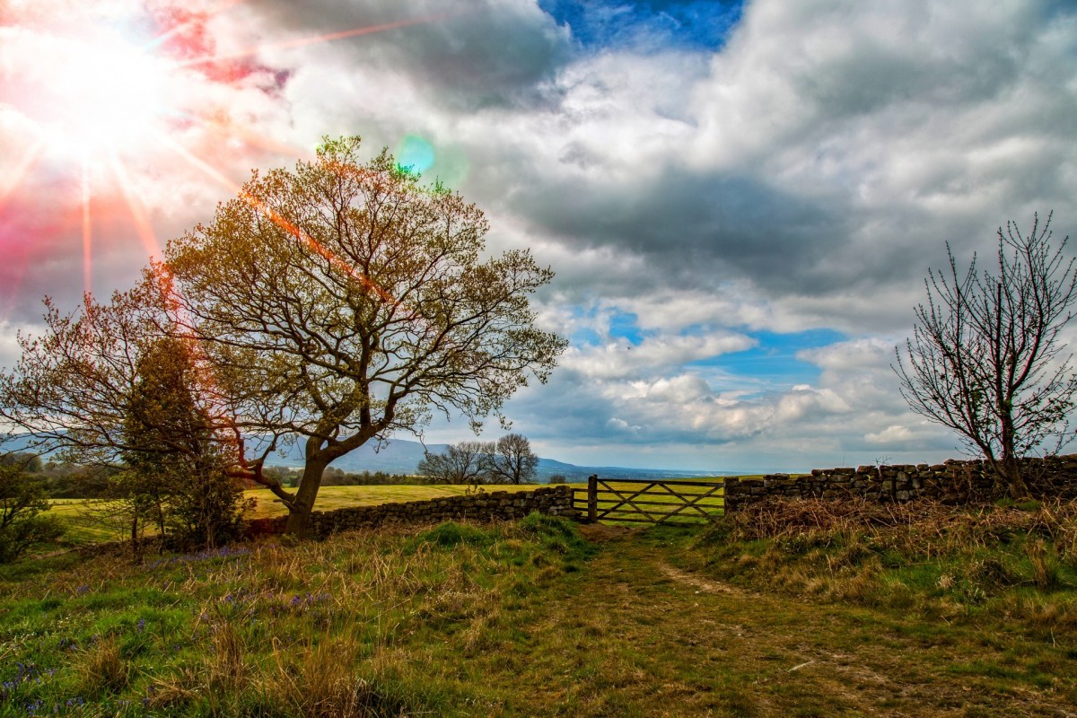 Friday’s Ember Days of&nbsp;Summer