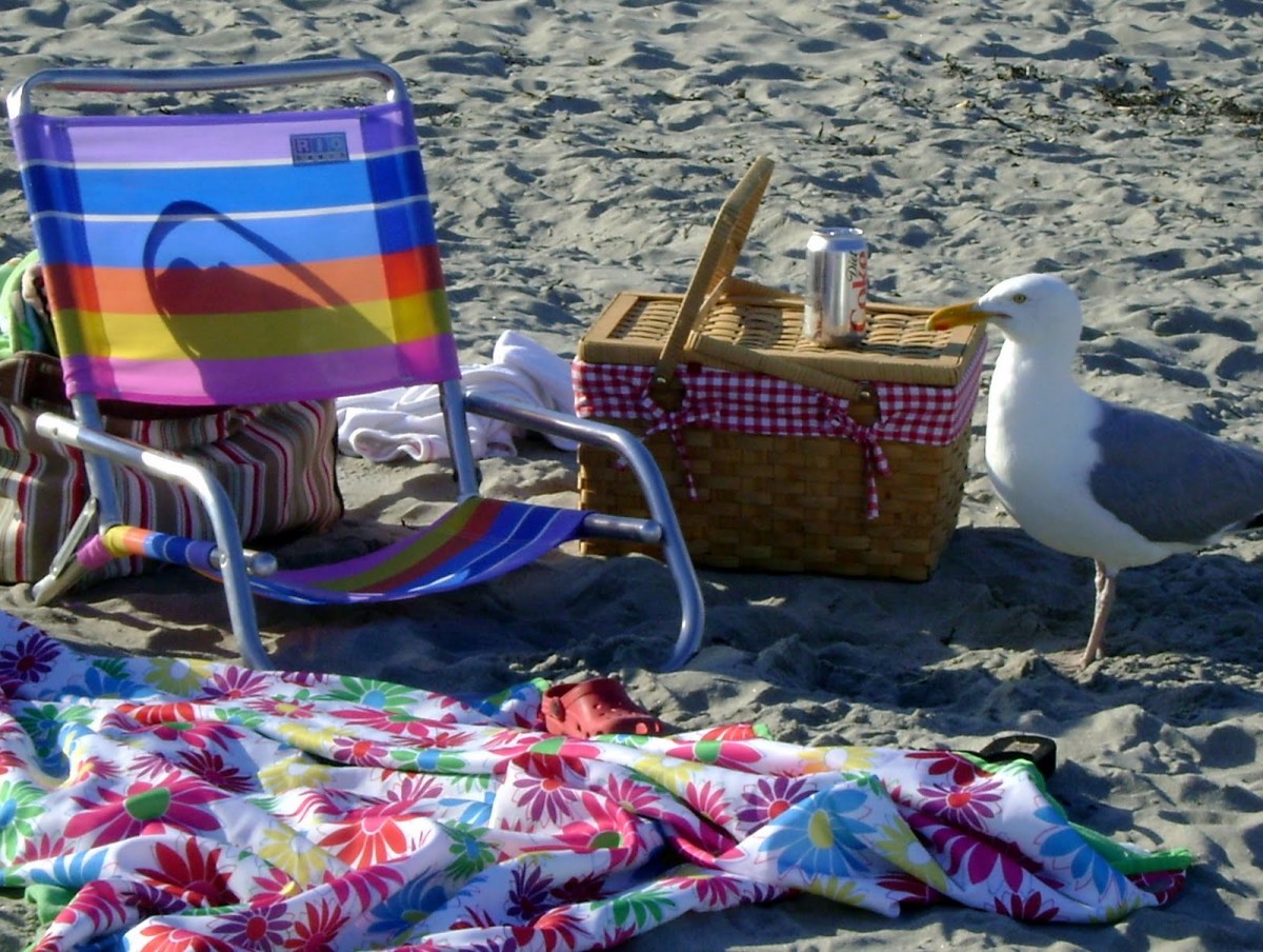 A Sizzling Day at the&nbsp;Beach