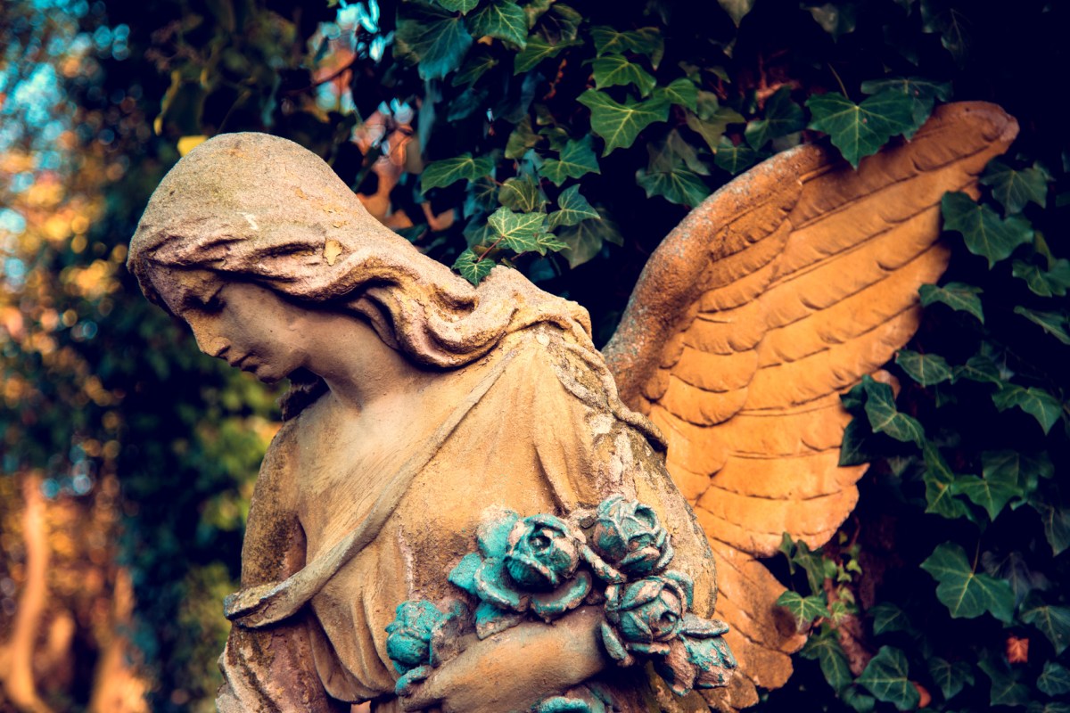 Guardian Angels, Seared Scallops and Sunday&nbsp;Supper