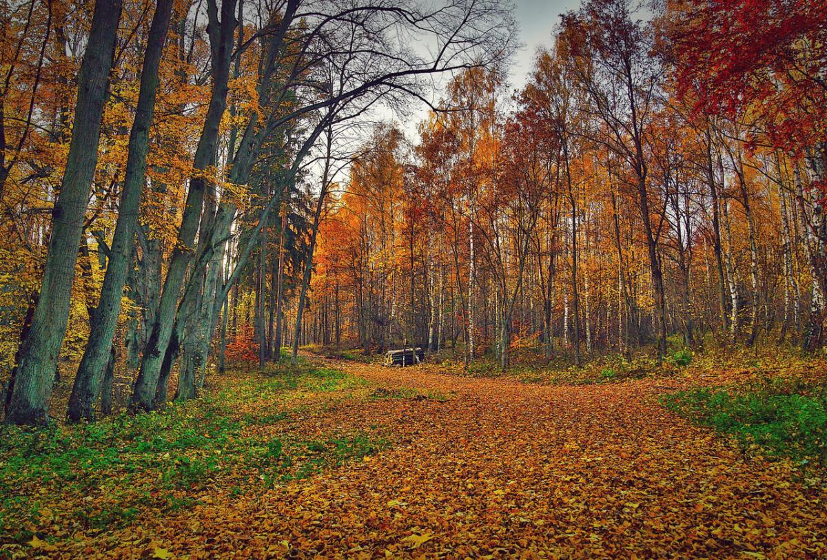 A Marsala Supper for the Last Ember Days of&nbsp;Autumn