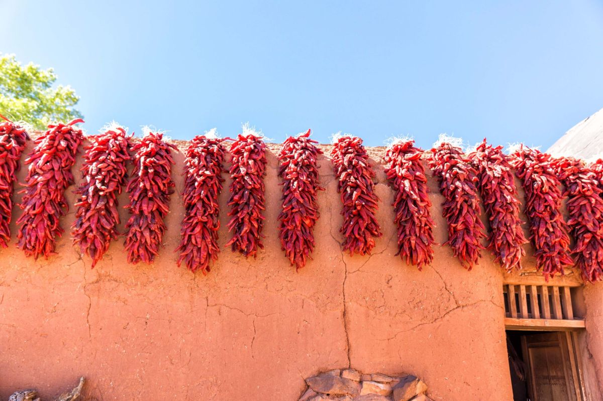Spicy Hatch Chili&nbsp;Tacos