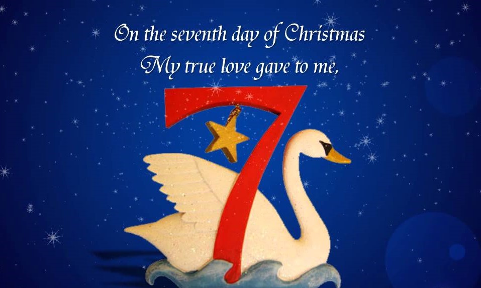 On the 7th Day of Christmas Seven Swans Went Swimming – Welcome to