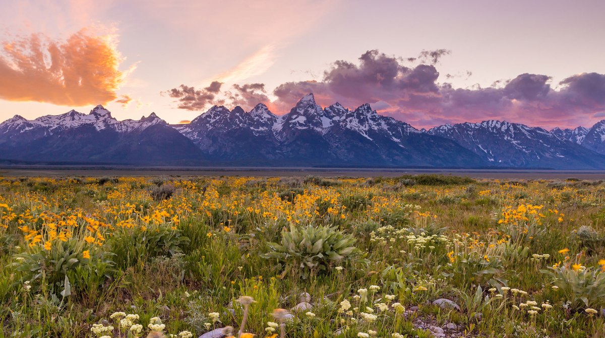 Wyoming and Barbecue Foil&nbsp;Packs