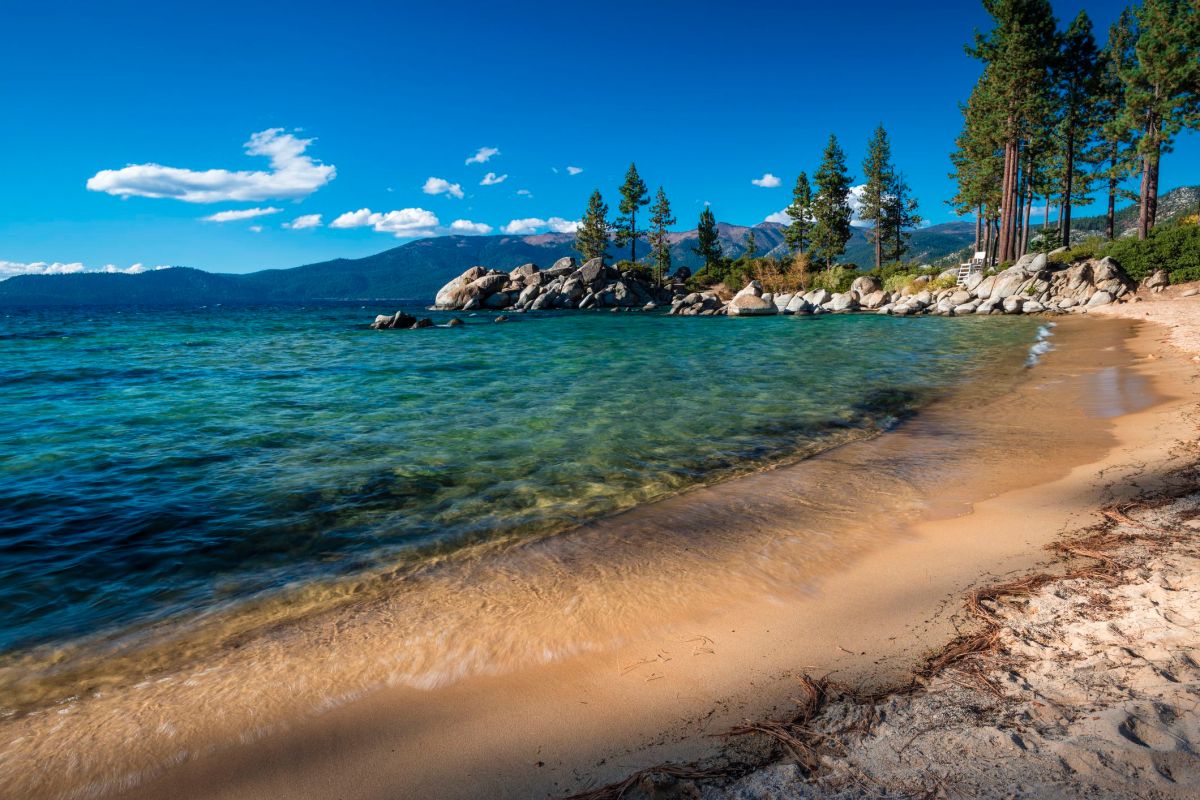 More Than a Barbcue at the&nbsp;Beach