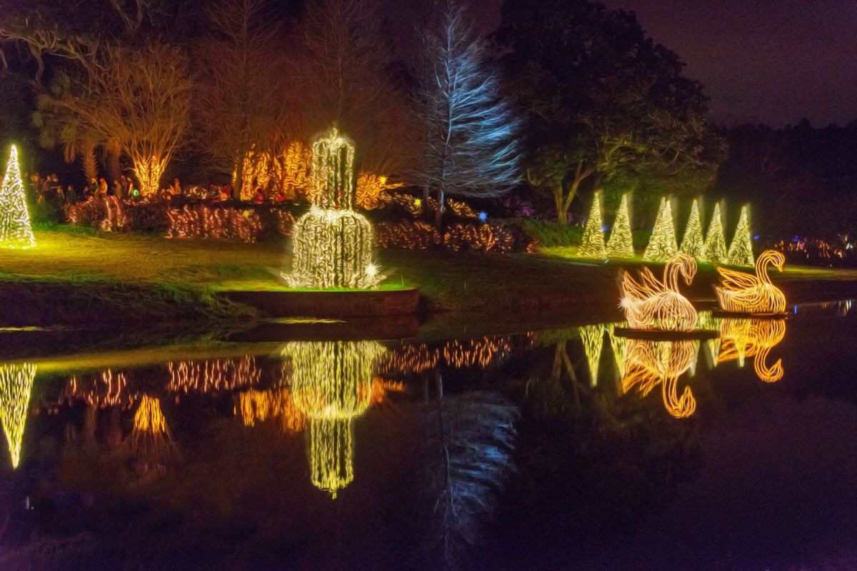 The Lights of Alabama and Other&nbsp;Things